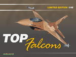 Top Falcons 1/48