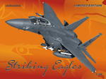 Striking Eagles 1/48